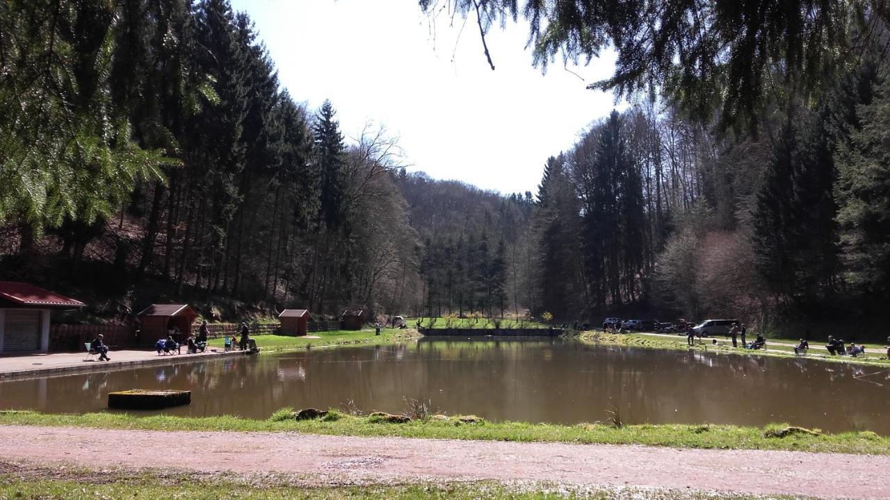 Appartamento Les Brimbelles Hottviller Esterno foto